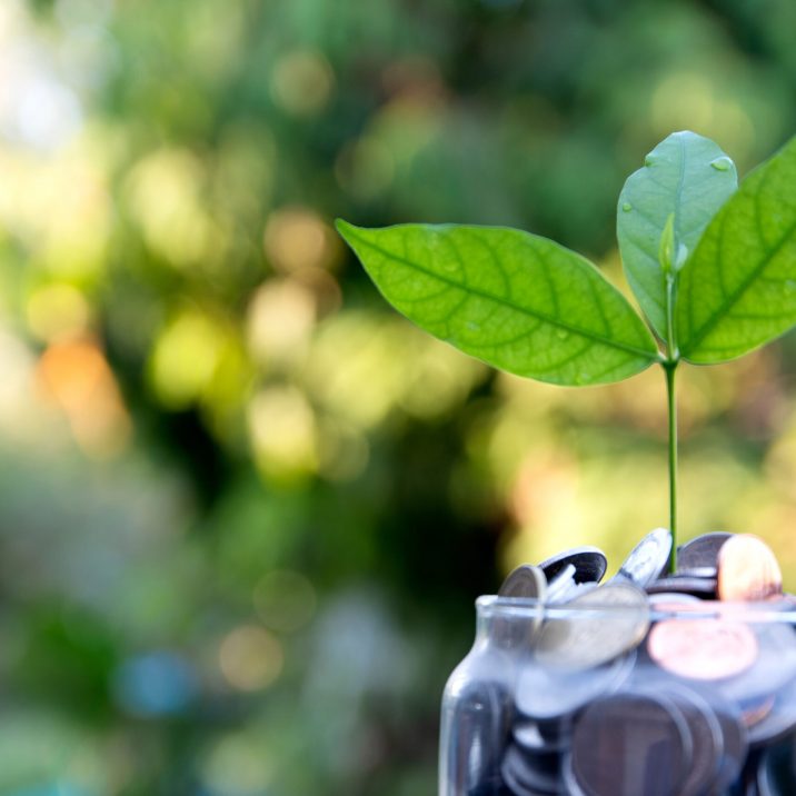 Plant growing on Coins glass jar and concept money saving coins